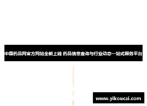 中国药品网官方网站全新上线 药品信息查询与行业动态一站式服务平台