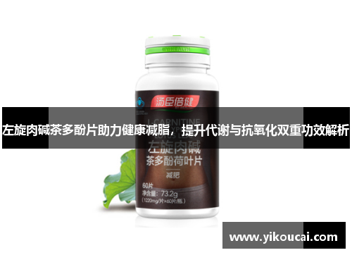 左旋肉碱茶多酚片助力健康减脂，提升代谢与抗氧化双重功效解析