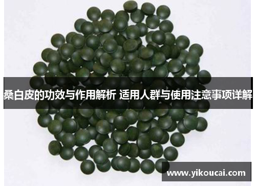 桑白皮的功效与作用解析 适用人群与使用注意事项详解