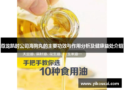 尊龙凯时公司海狗丸的主要功效与作用分析及健康益处介绍